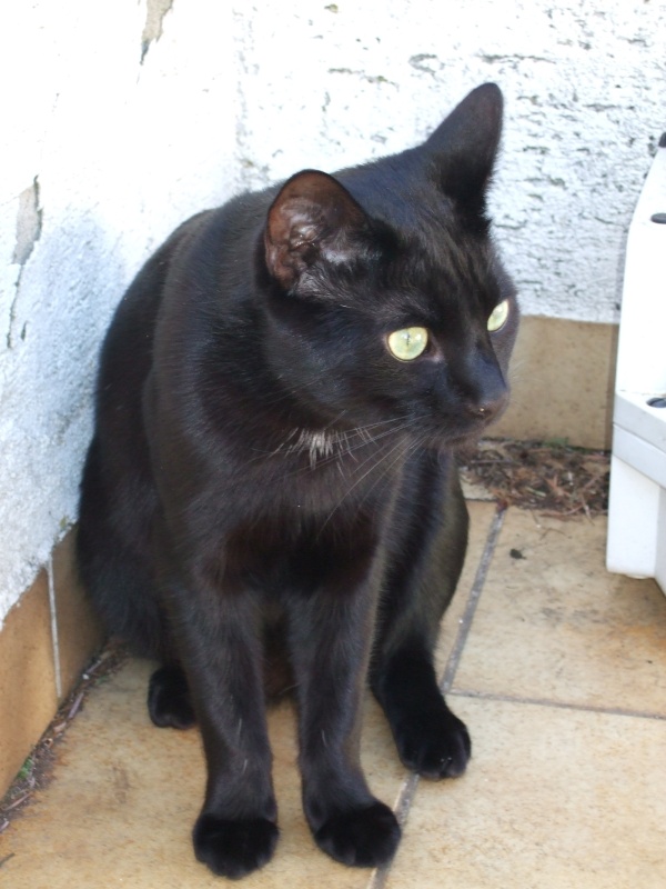 Ostern 2007 Orleshausen 044 